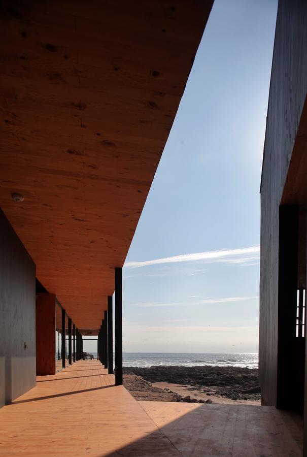 Hotel Apacheta Arica Exteriör bild
